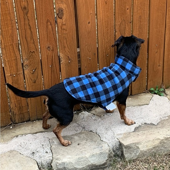 Meet your Poshers, Tracey and BeanieDoodle - Picture 12 of 15